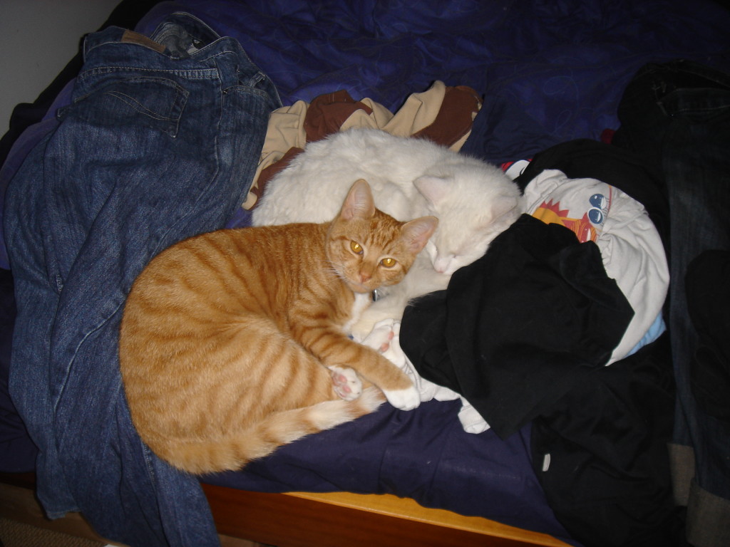 A more comfortable place to sleep, I guess.